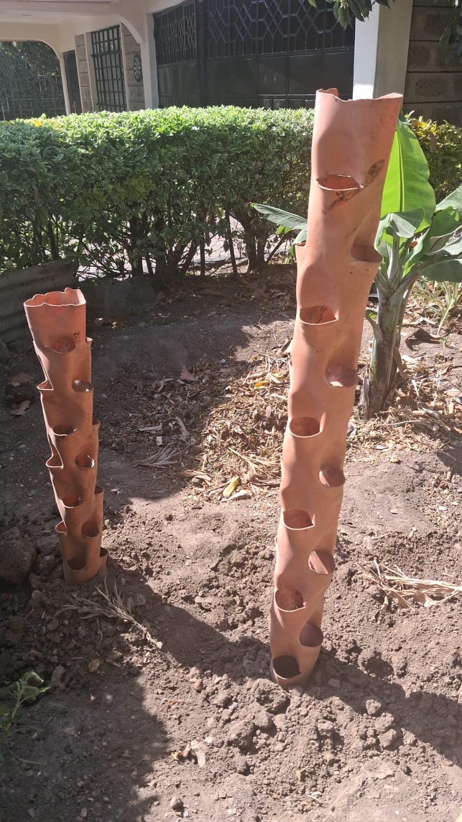 Plants growing in a recycled container