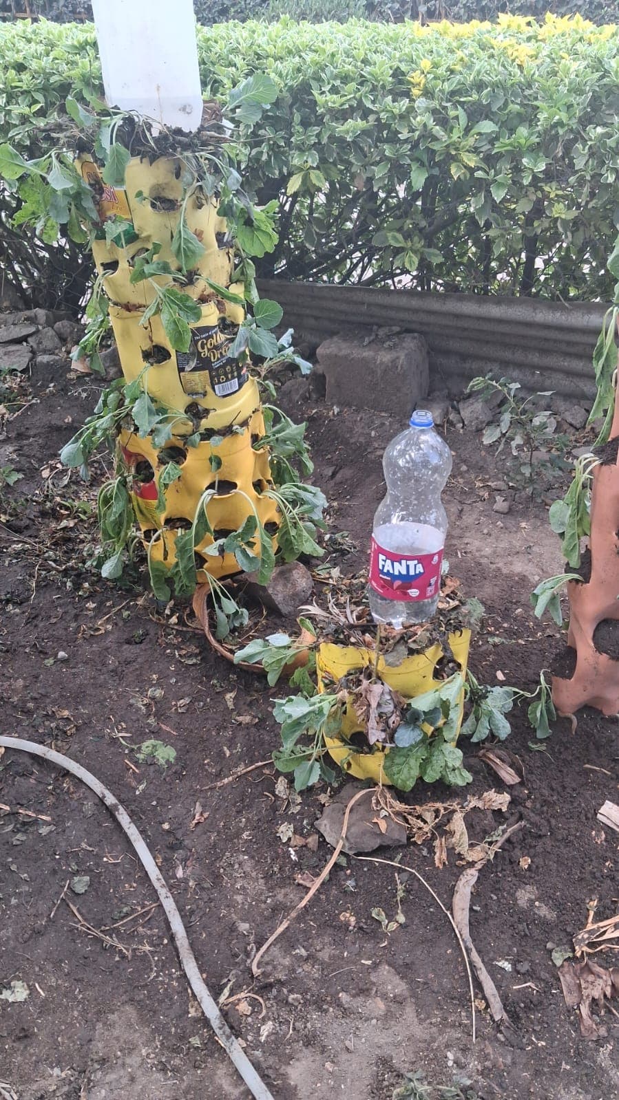 A practical growing system made from reused materials