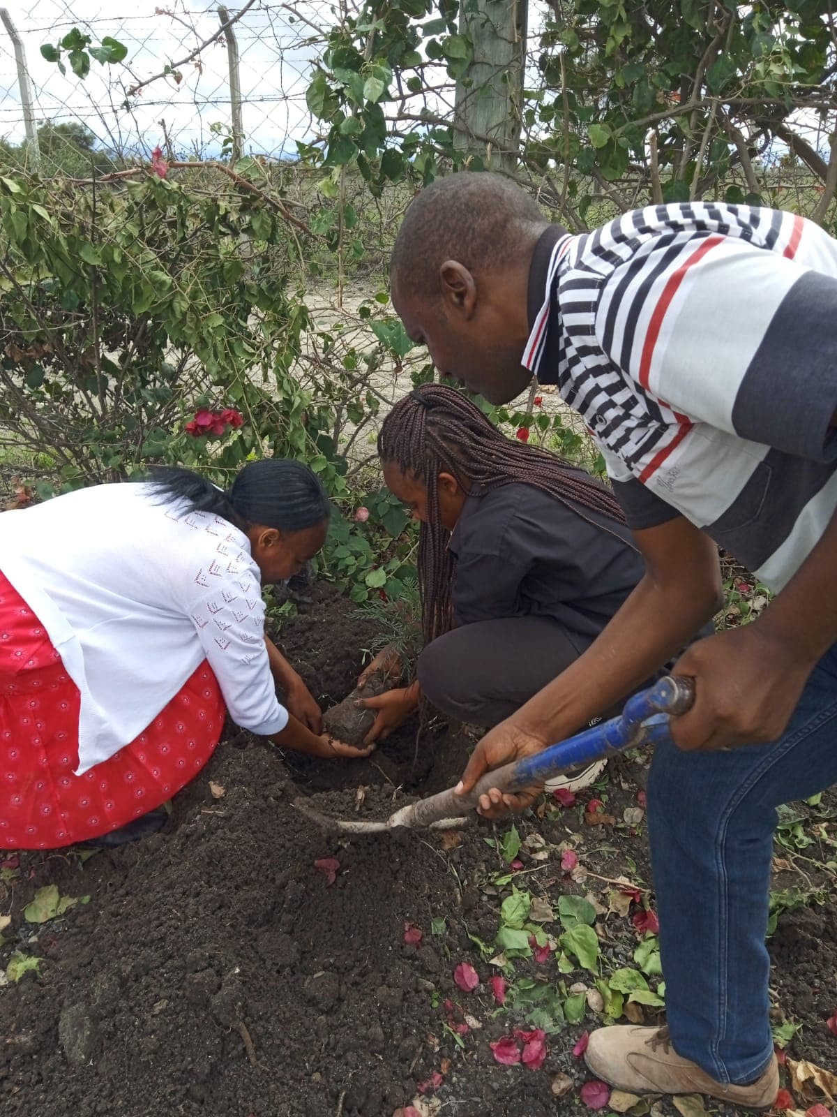 Community members working together