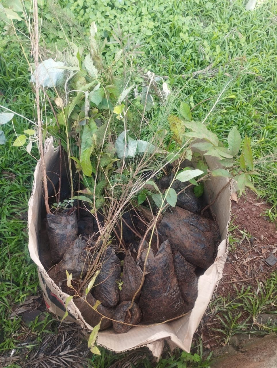 A hands-on sustainable project