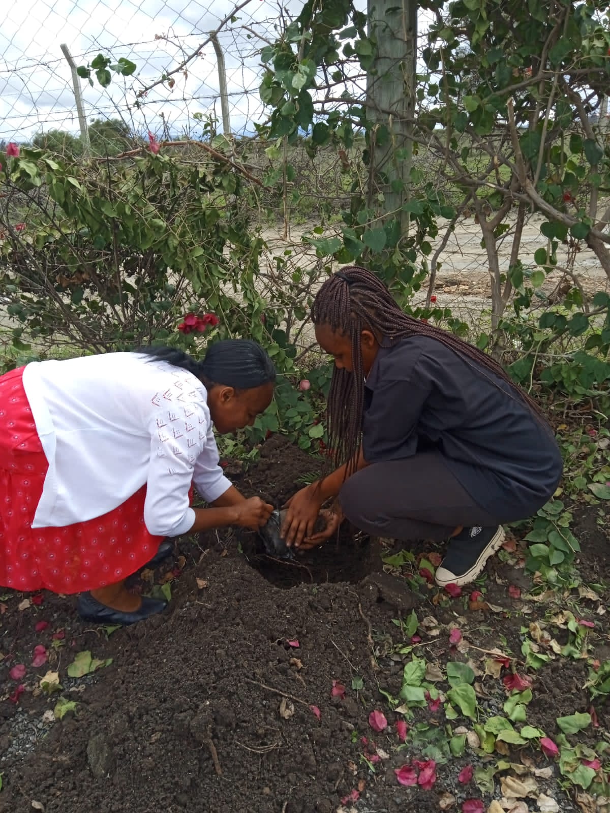 A sustainable growing project