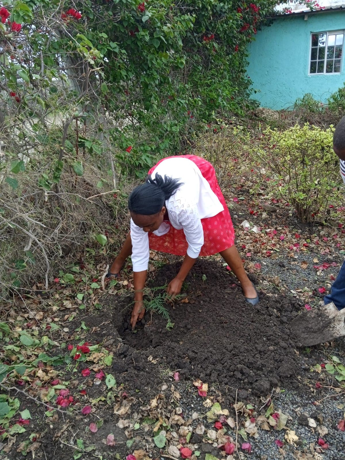 A community project outdoors