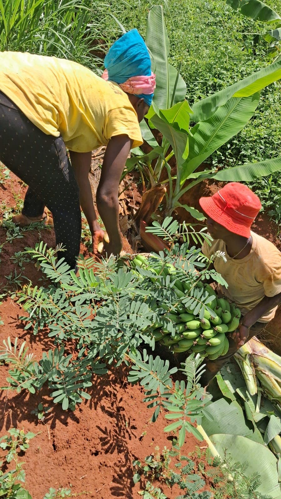 Community members taking part in practical work
