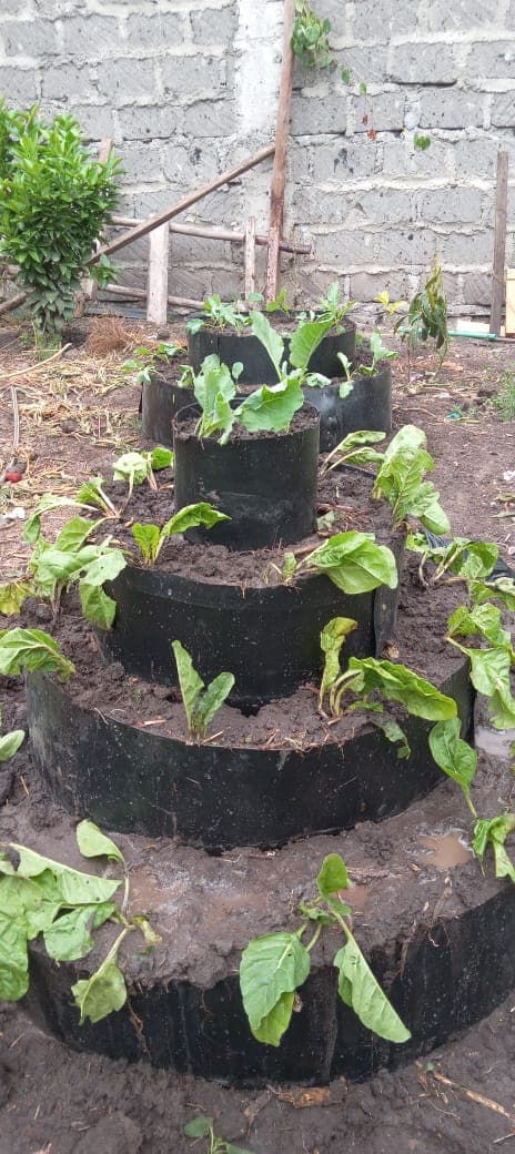 A close view of people participating in the project