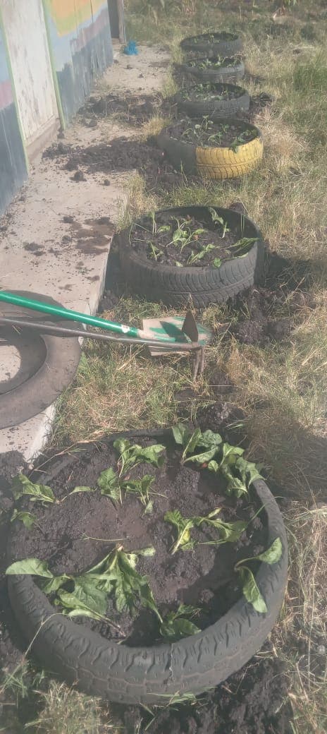 A community activity in progress