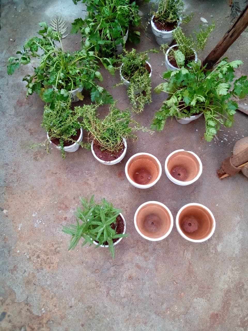 A close view of hands-on work