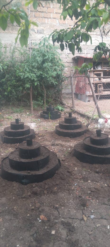 People working on a local solution